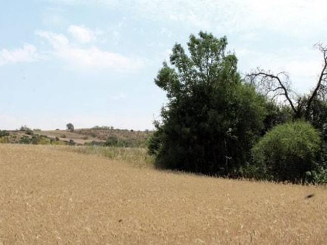 Terreno en venta en El Casar De Escalona, Castilla-La Mancha