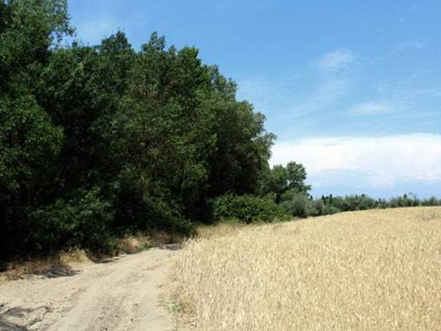 Terreno en venta en El Casar De Escalona