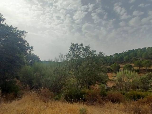 Terreno en venta en El Castillo De Las Guardas, Andalucía