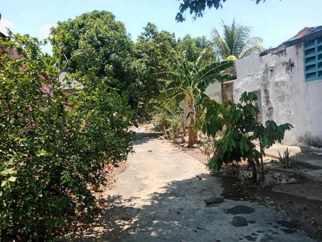 Terreno en venta en Guacara, Carabobo