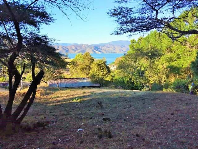 Terreno en venta en Genaro Codina, Zacatecas