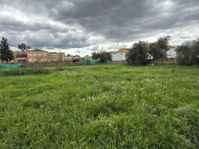 Terreno en venta en El Cerro de Andévalo, Huelva