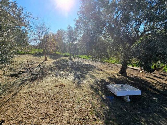 Terreno en venta en El Coronil, Andalucía