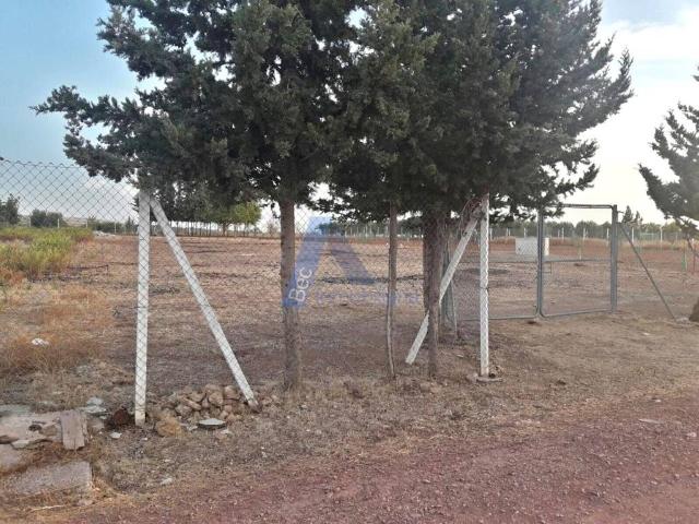 Terreno en venta en El Cuervo De Sevilla, Andalucía