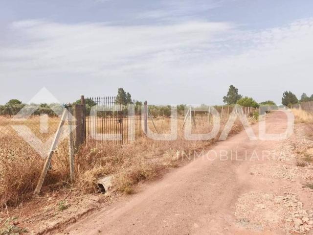 Terreno en venta en El Cuervo De Sevilla, Andalucía