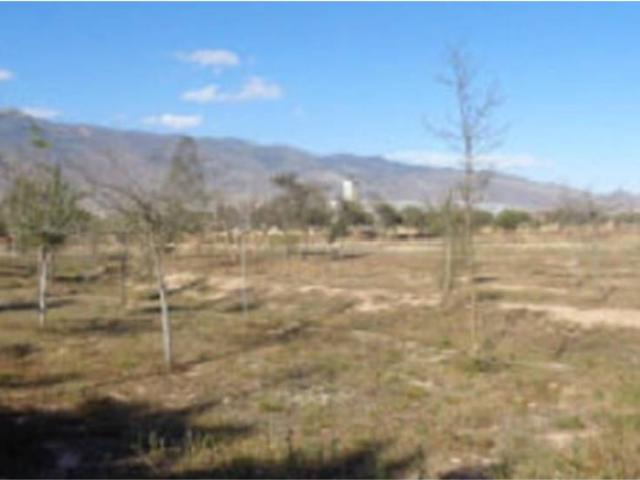 Terreno en venta en El Ejido, Andalucía