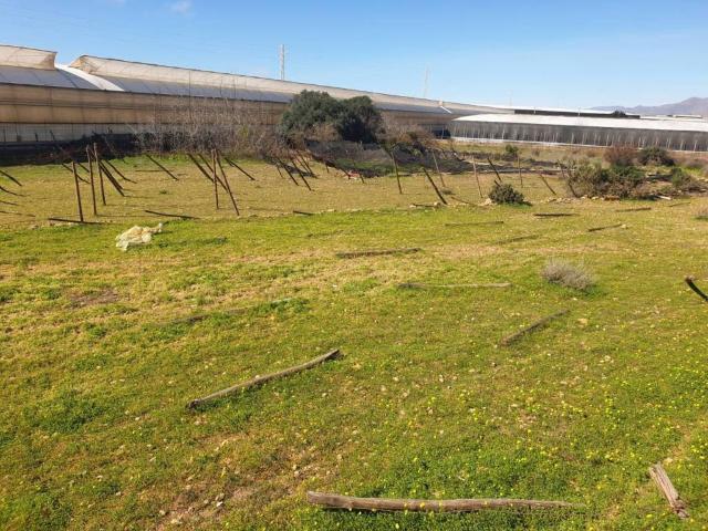 Terreno en venta en El Ejido, Andalucía