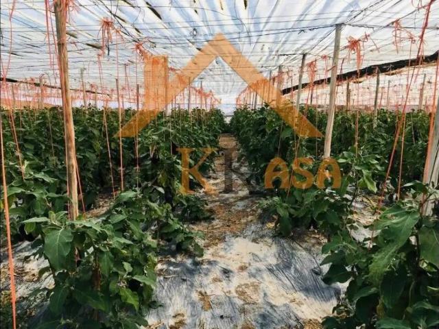 Terreno en venta en El Ejido, Andalucía