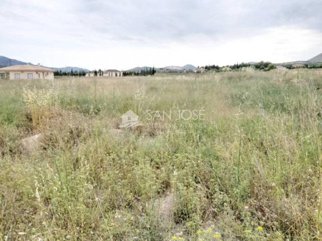Terreno en venta en el Vinalopó Mitjà / El Vinalopó Medio, Valencia