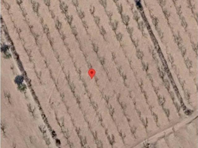 Terreno en venta en el Vinalopó Mitjà / El Vinalopó Medio, Valencia