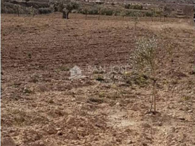 Terreno en venta en el Vinalopó Mitjà / El Vinalopó Medio, Valencia