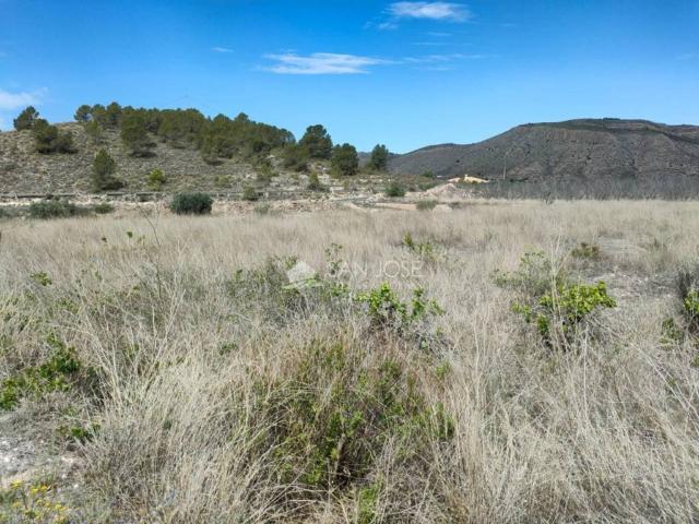 Terreno en venta en el Vinalopó Mitjà / El Vinalopó Medio, Valencia