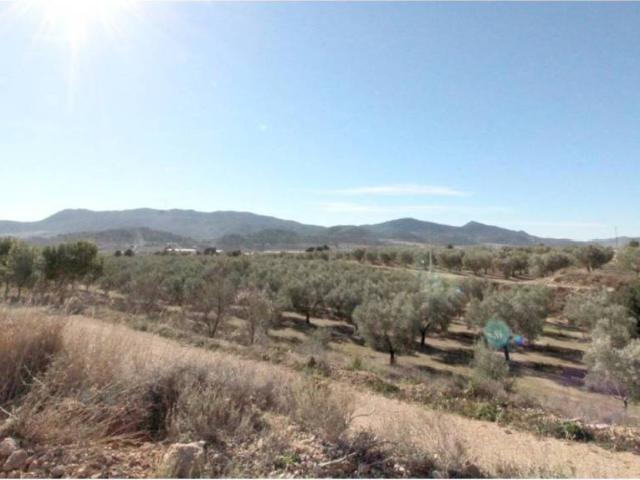 Terreno en venta en el Vinalopó Mitjà / El Vinalopó Medio, Valencia