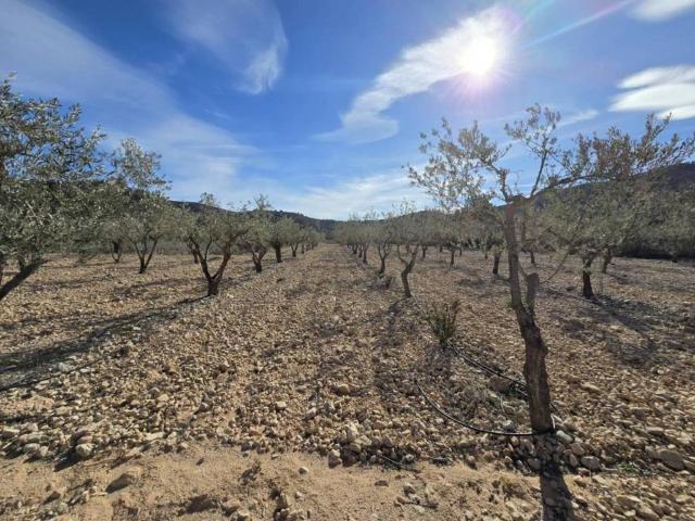 Terreno en venta en el Vinalopó Mitjà / El Vinalopó Medio, Valencia