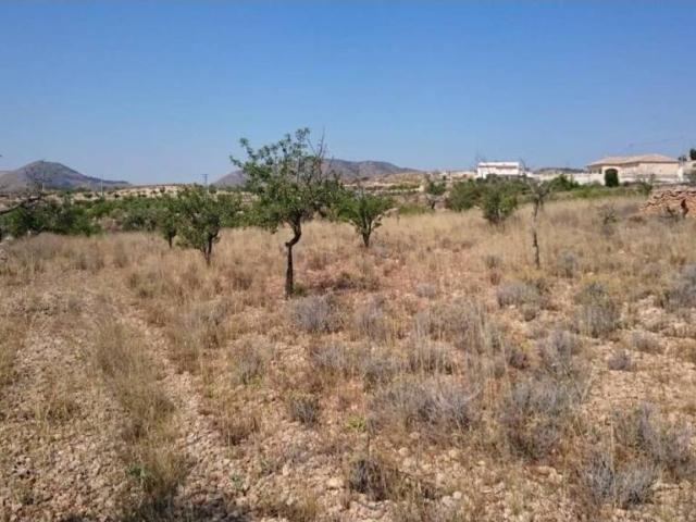 Terreno en venta en el Vinalopó Mitjà / El Vinalopó Medio, Valencia
