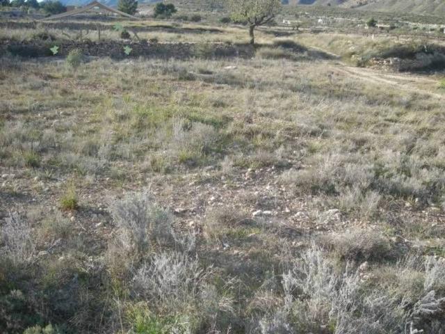 Terreno en venta en el Vinalopó Mitjà / El Vinalopó Medio, Valencia