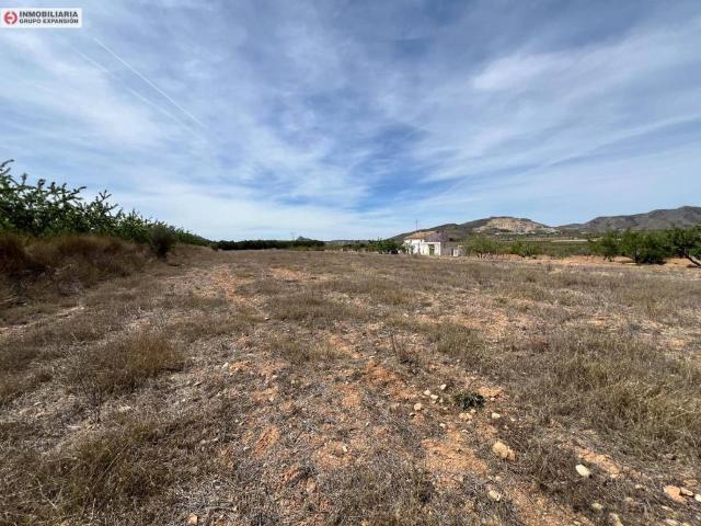 Terreno en venta en el Vinalopó Mitjà / El Vinalopó Medio, Valencia