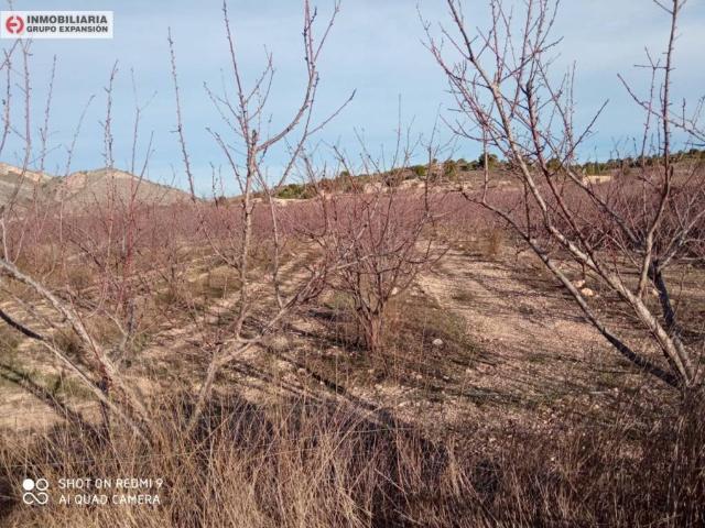 Terreno en venta en el Vinalopó Mitjà / El Vinalopó Medio, Valencia
