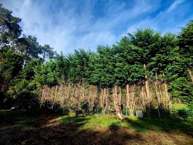 Terreno en venta en El Franco, Asturias