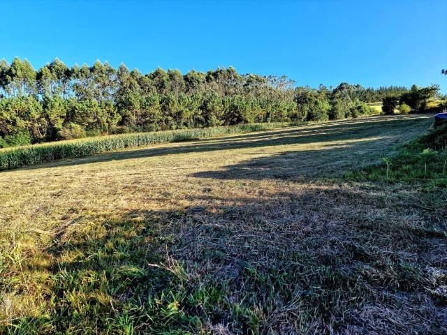 Terreno en venta en El Franco, Asturias