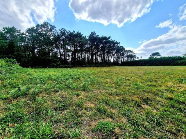 Terreno en venta en El Franco, Asturias