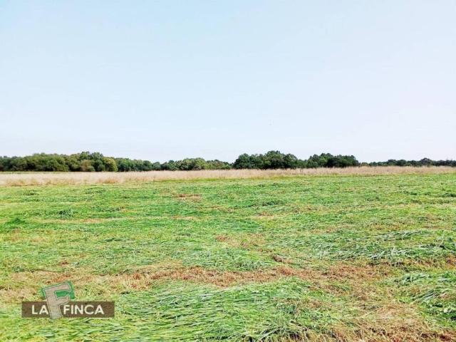 Terreno en venta en El Franco, Asturias