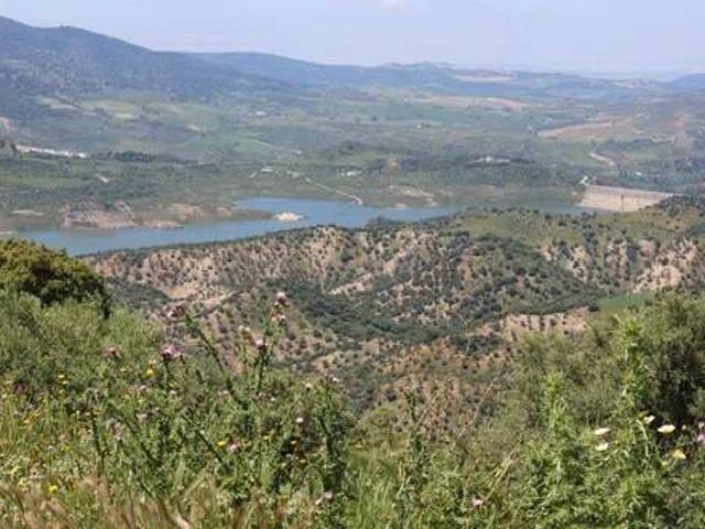 Terreno en venta en Sierra de Cádiz, Andalucía