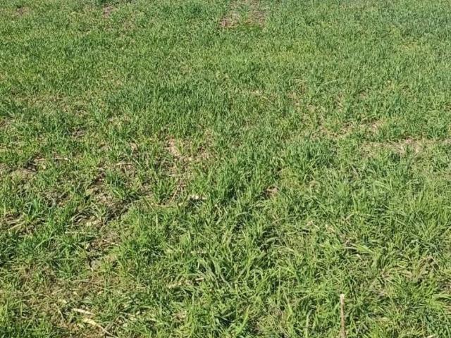 Terreno en venta en Somontano de Barbastro, Aragón