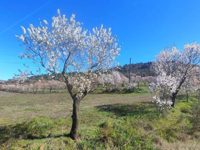 Terreno en venta en Somontano de Barbastro, Aragón