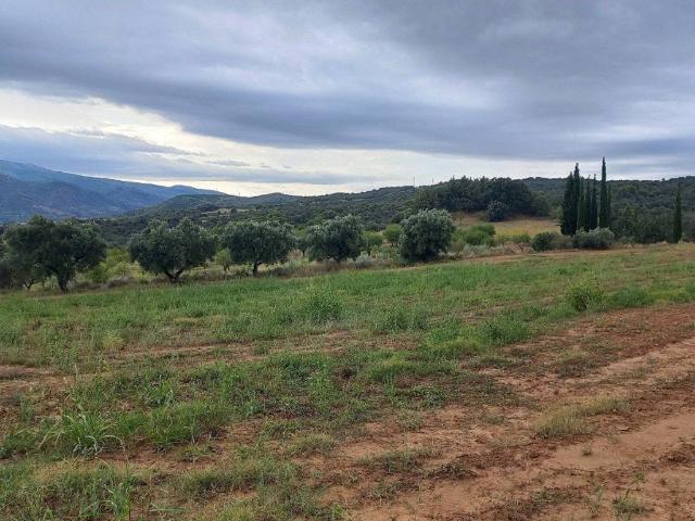 Terreno en venta en Somontano de Barbastro, Aragón