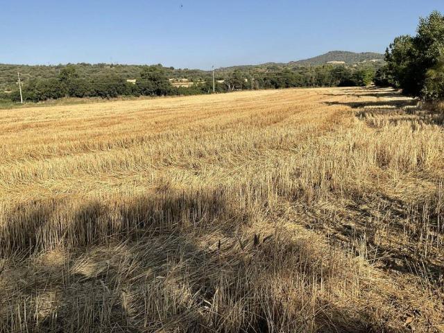 Terreno en venta en Somontano de Barbastro, Aragón
