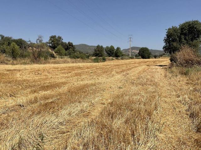 Terreno en venta en Somontano de Barbastro, Aragón