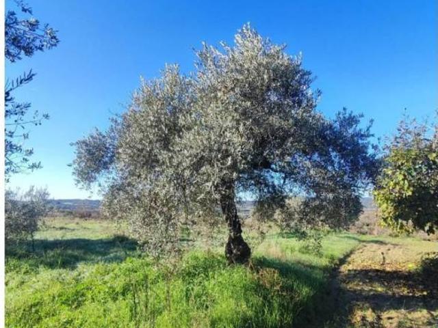 Terreno en venta en Somontano de Barbastro, Aragón