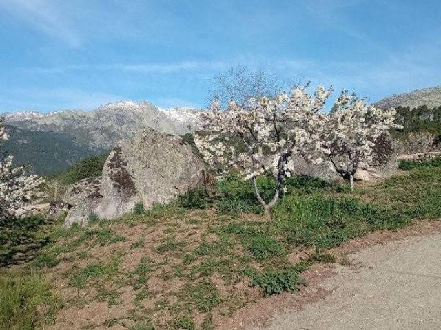 Terreno en venta en El Hornillo