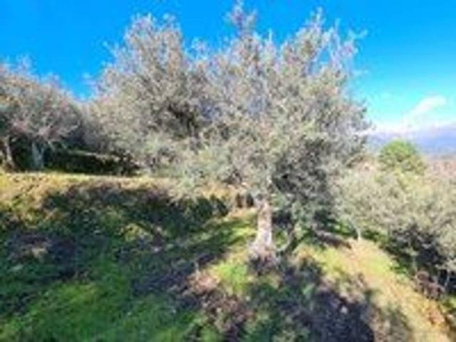 Terreno en venta en El Hornillo, Castilla y León