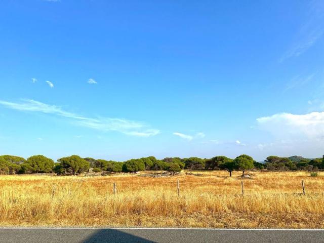 Terreno en venta en El Hoyo De Pinares