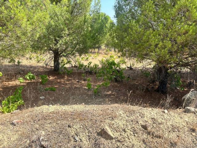 Terreno en venta en El Hoyo De Pinares