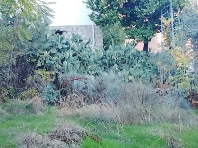 Terreno en venta en El Hoyo De Pinares, Castilla y León