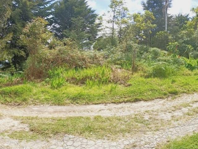 Terreno en venta en Boca De Uchire, Distrito Capital