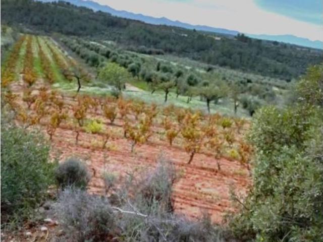 Terreno en venta en Priorat, Catalunya