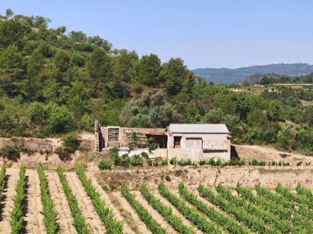 Terreno en venta en Priorat, Catalunya