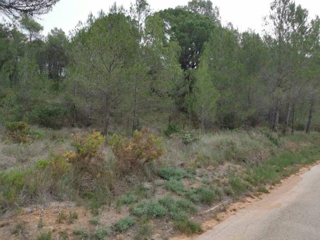 Terreno en venta en Baix Penedès, Catalunya