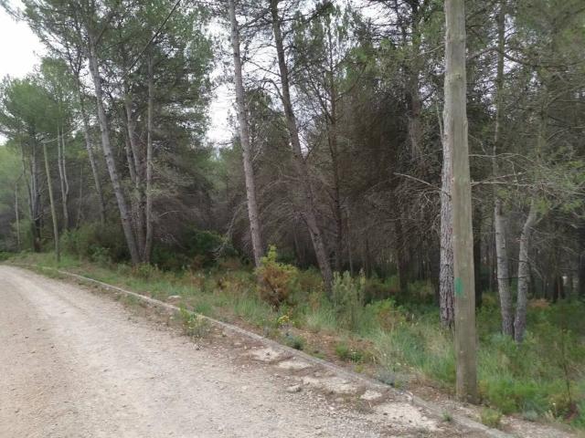Terreno en venta en el Mirador del Penedès, Baix Penedès