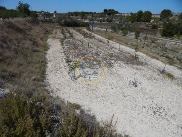 Terreno en venta en la Vall d'Albaida, Valencia