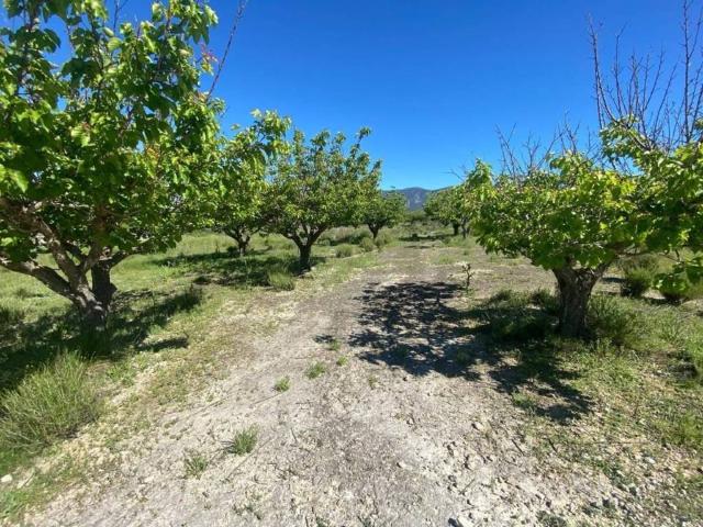 Terreno en venta en la Vall d'Albaida, Valencia