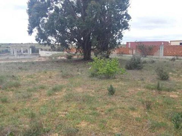 Terreno en venta en El Perdigón, Castilla y León