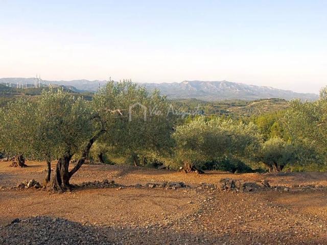 Terreno en venta en Baix Ebre, Catalunya