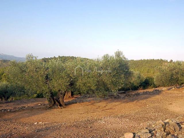 Terreno en venta en Baix Ebre, Catalunya