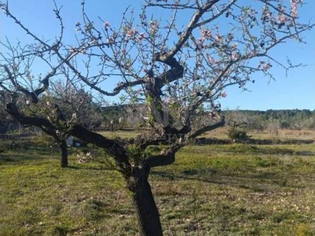 Terreno en venta en Baix Ebre, Catalunya