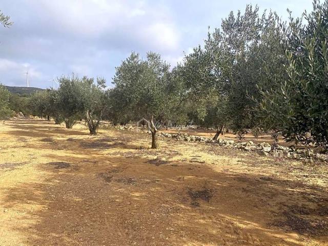 Terreno en venta en Baix Ebre, Catalunya